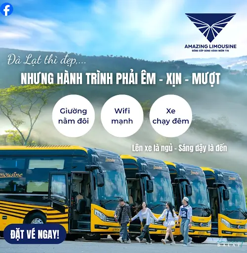 Xe Đón Sân Bay Đà Lạt – Đưa Đón Tận Nơi, Giá Rẻ, Đặt Xe Nhanh 24/7