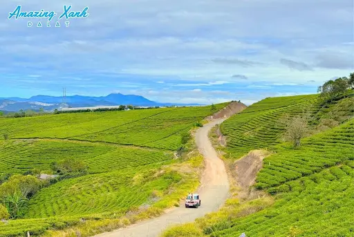 Thuê Xe Điện Vf3 Đi Tour Riêng Trọn Gói 1 Ngày Tại Đà Lạt