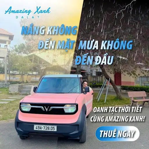 Thuê Xe Điện Vf3 Đi Tour Riêng Trọn Gói 1 Ngày Tại Đà Lạt