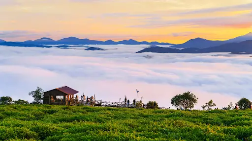 Bỏ Túi 5 Địa Điểm Ngắm Bình Minh Đẹp Nhất Ở Đà Lạt Có Thể Di Chuyển Dễ Dàng Bằng Xe Điện