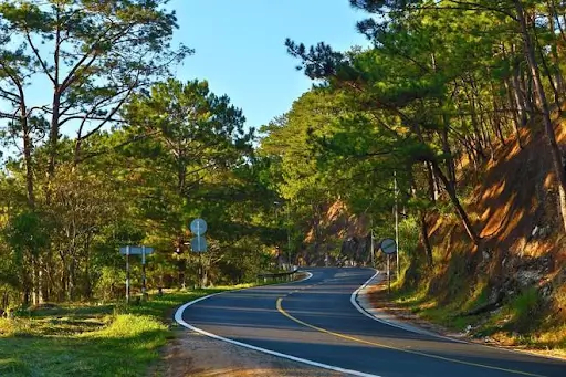 Bỏ Túi 5 Địa Điểm Ngắm Bình Minh Đẹp Nhất Ở Đà Lạt Có Thể Di Chuyển Dễ Dàng Bằng Xe Điện