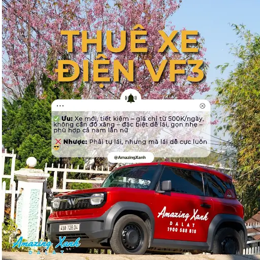 Vì Sao Nên Chọn Amazing Xanh Thay Vì Thuê Xe Máy Truyền Thống?