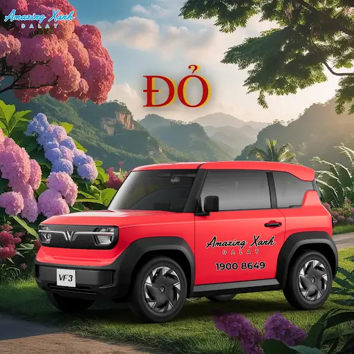 Khi thuê xe tại Amazing Xanh, có thể chọn màu xe theo sở thích không?