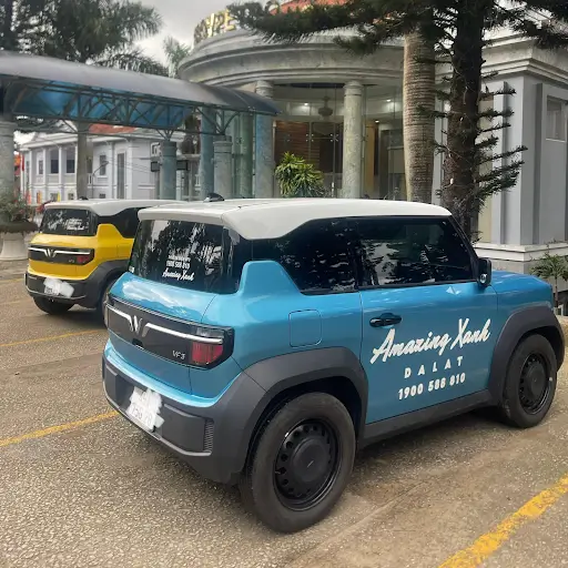Những địa điểm Vui Chơi Cho Trẻ Em Tại Đà Lạt Khi đi Xe điện?