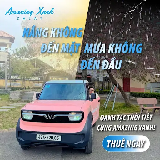 Có Nên Thuê Xe điện đi Chơi đêm ở Đà Lạt Không?