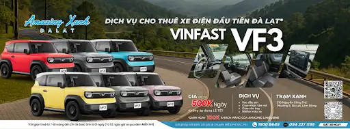 Thuê Xe Điện Tự Lái Đà Lạt Cùng Amazing Xanh Tự Do Vi Vu, Trải Nghiệm Khác Biệt