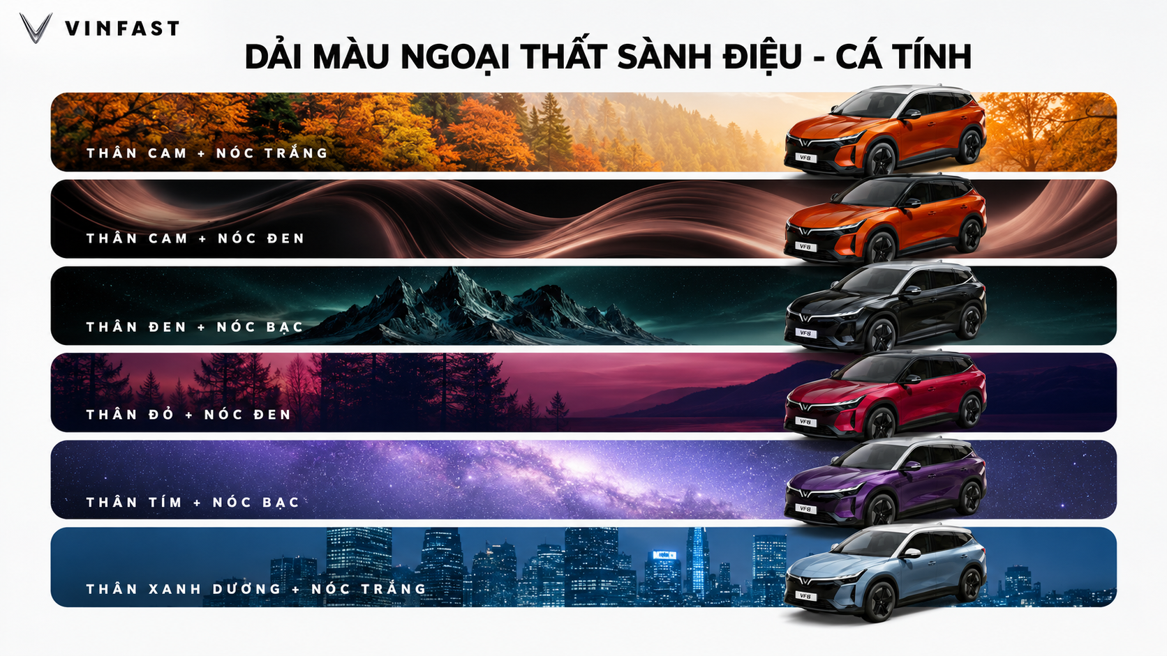 Hình ảnh bài viết VinFast